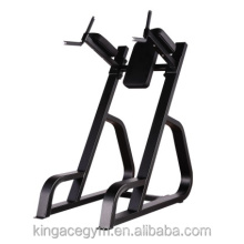 Precor Gym Equipment ,Strength Machine, Vertical Kness Up/Dip(PB29)